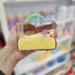 جاقلمی آکواریومی معلق دسته دار