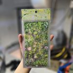 استیکر بسته 6عددی گلدان رنگ سبز