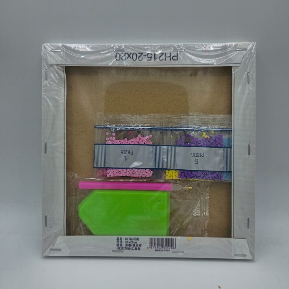 نقاشی الماسی بومی 20 در 20 طرح کرومی 01 پشت