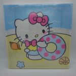 نقاشی الماسی بومی 20 در 20 طرح کیتی 01