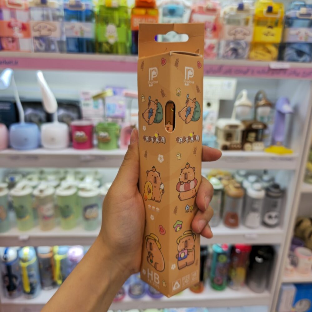 مداد مثلثی سه‌وجهی پرودون طرح کاپی بارا