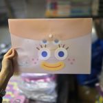 پوشه طرح چشم درشت A4 گلبهی